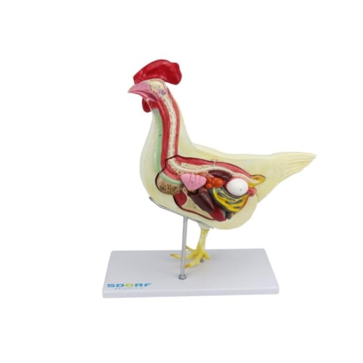 Imagem da galeria de produtos
