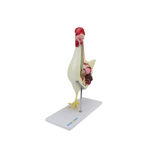 Imagem da galeria de produtos