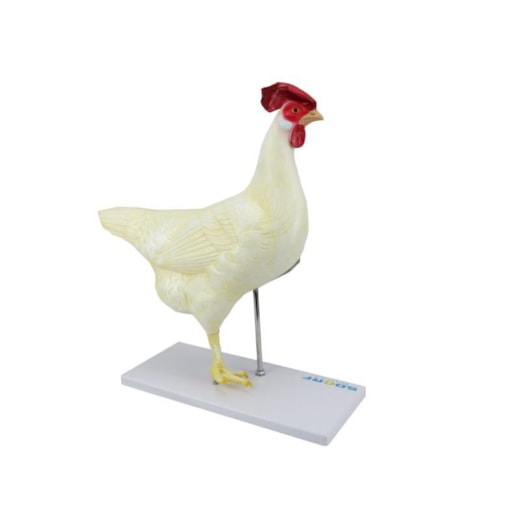 Imagem da galeria de produtos