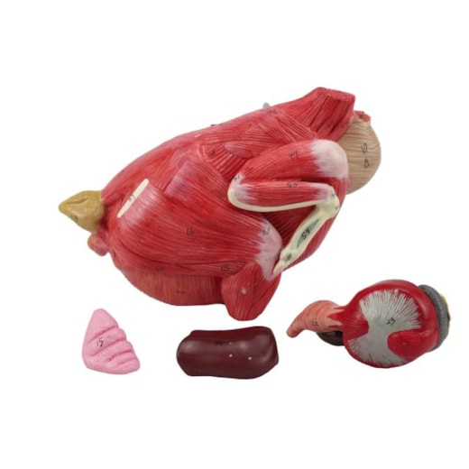 Imagem da galeria de produtos
