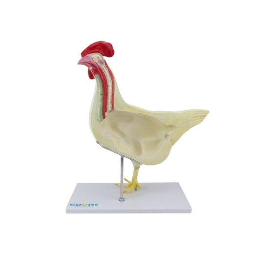 Imagem da galeria de produtos