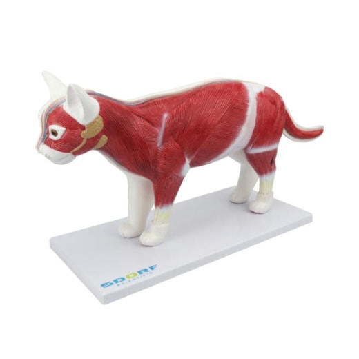 Imagem da galeria de produtos