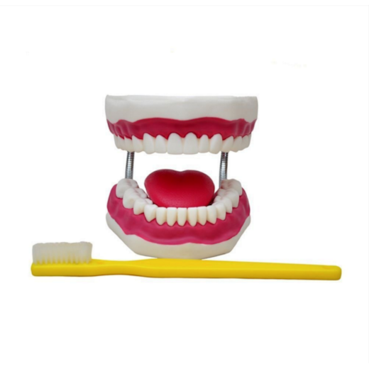Product main image - 1dc5ecbe-be58-42f4-bb0d-fa0bdc56ca2a