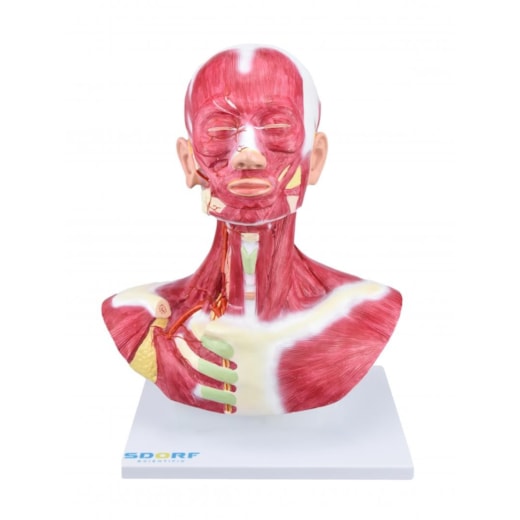 Imagem da galeria de produtos