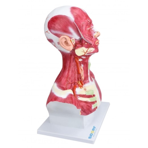 Imagem da galeria de produtos