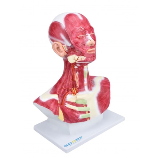 Imagem da galeria de produtos