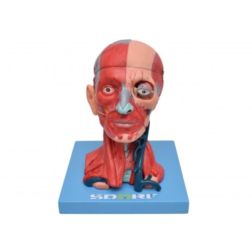Imagem da galeria de produtos