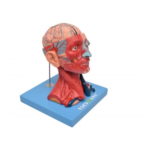Imagem da galeria de produtos