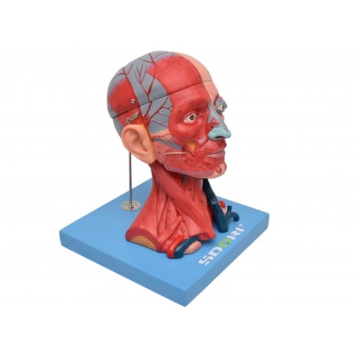 Imagem da galeria de produtos