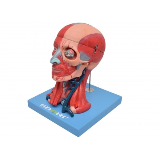 Imagem da galeria de produtos