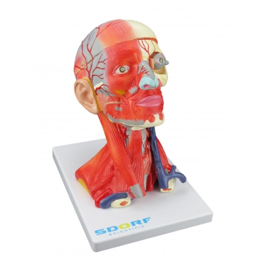 Imagem da galeria de produtos