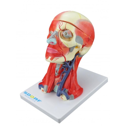 Imagem da galeria de produtos