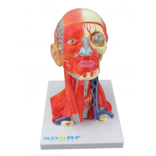 Imagem da galeria de produtos