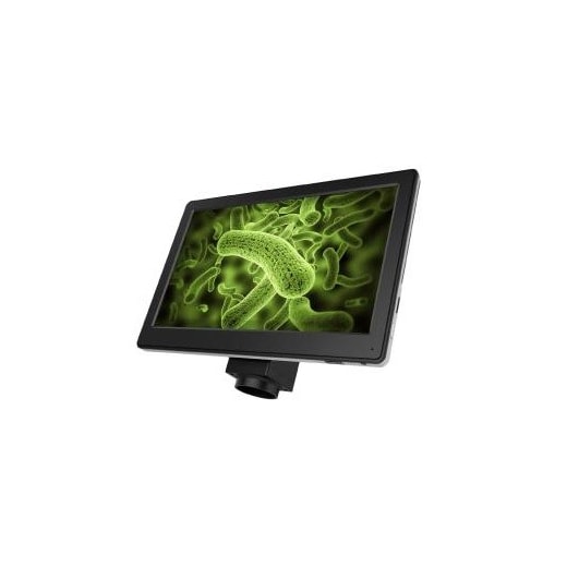 Product main image - 53ef2228-bd0b-4571-8782-ea0ed14be8f4