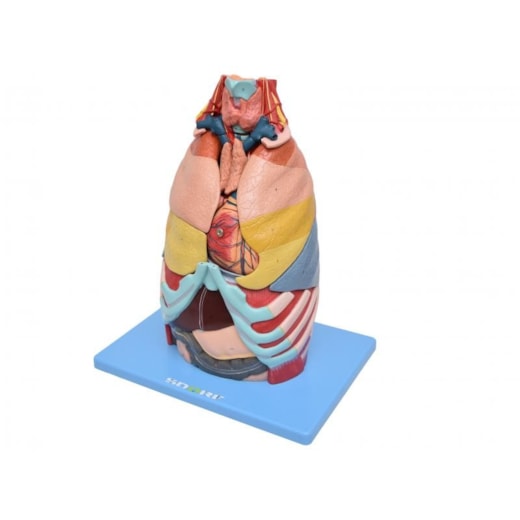 Imagem da galeria de produtos