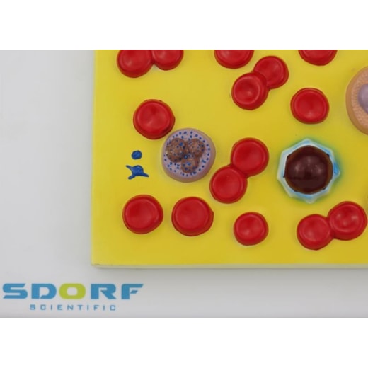 Imagem da galeria de produtos