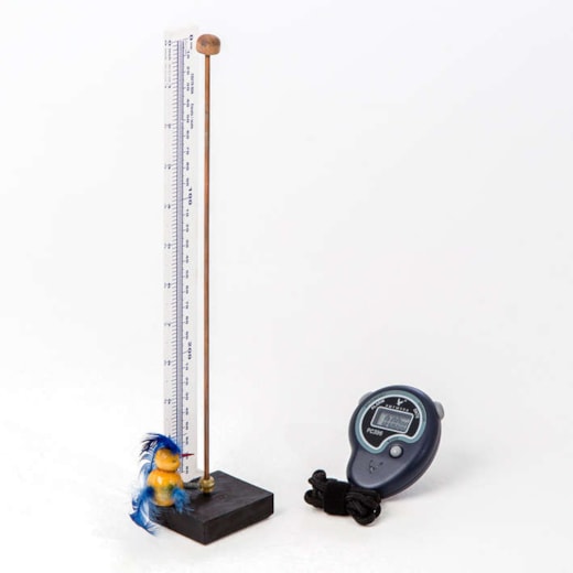 Product main image - 58dd6a66-1711-4aca-a10b-3f9a6a1ba001
