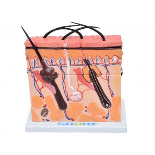 Imagem da galeria de produtos
