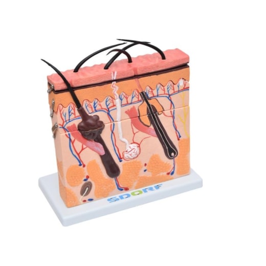 Imagem da galeria de produtos