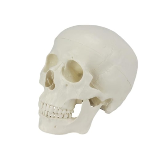 Imagem da galeria de produtos