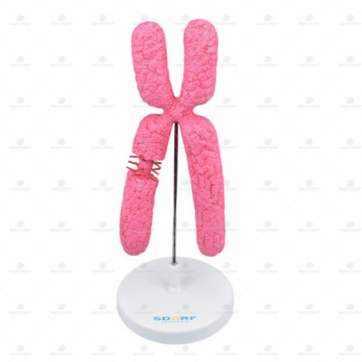 Product main image - f7cd2a47-153b-4cfd-971c-28b2724db456