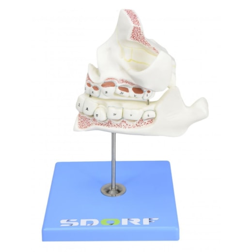 Imagem da galeria de produtos