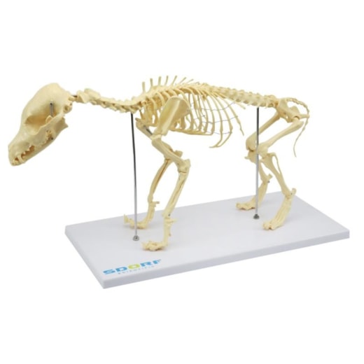 Imagem da galeria de produtos