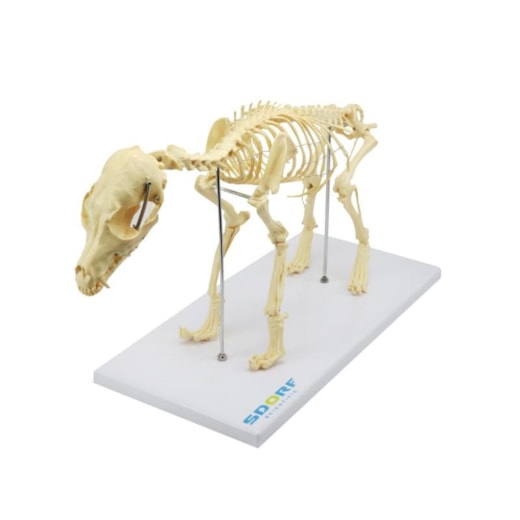 Imagem da galeria de produtos