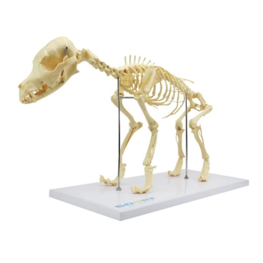Imagem da galeria de produtos