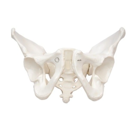 Product main image - 3f8cb676-d0a9-437f-aca1-e4d66d63a3f3