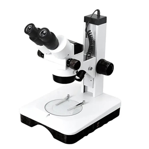 Product main image - e91507c2-2568-4ecf-960c-fb16da432d65