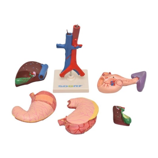 Imagem da galeria de produtos