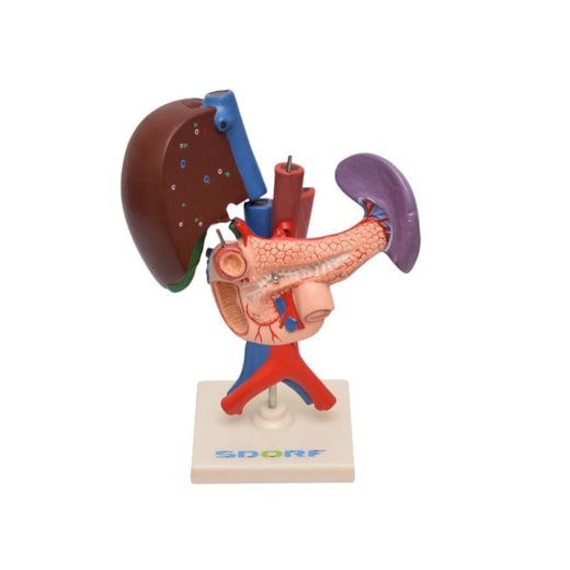 Imagem da galeria de produtos