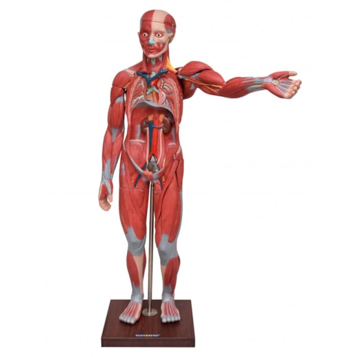 Imagem da galeria de produtos