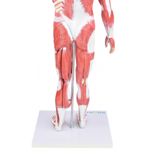 Imagem da galeria de produtos