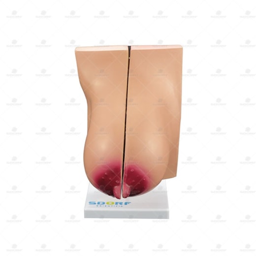 Product main image - 7f3d6787-e015-4441-9212-824523db5ee2
