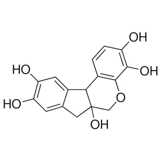 Product main image - 931c2d39-3871-4fd5-b370-3d889c2d7261