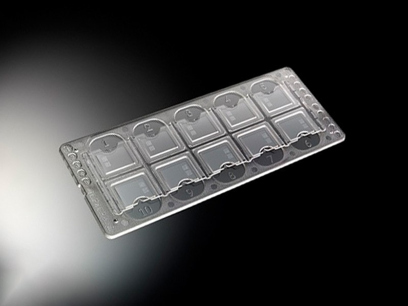 Lamina K-cell Cx/100 Unidades