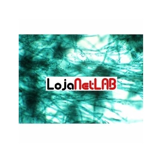 Product main image - 514228b6-a4df-4296-b709-1465a52af275