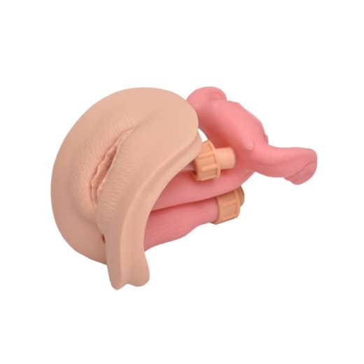 Imagem da galeria de produtos