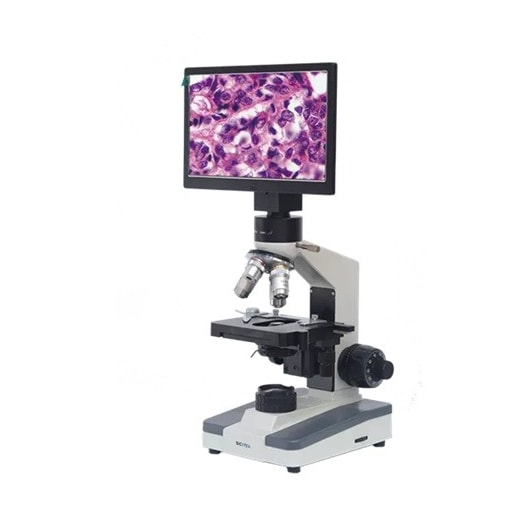 Product main image - 294c12c3-82e5-4c4b-a0db-5a20dffbbf5e