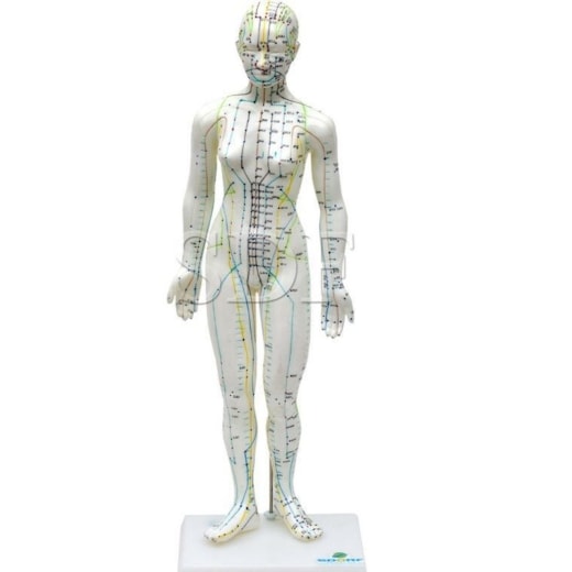 Product main image - 9923469e-46ca-472e-8cce-8b5b8d2e1e4e