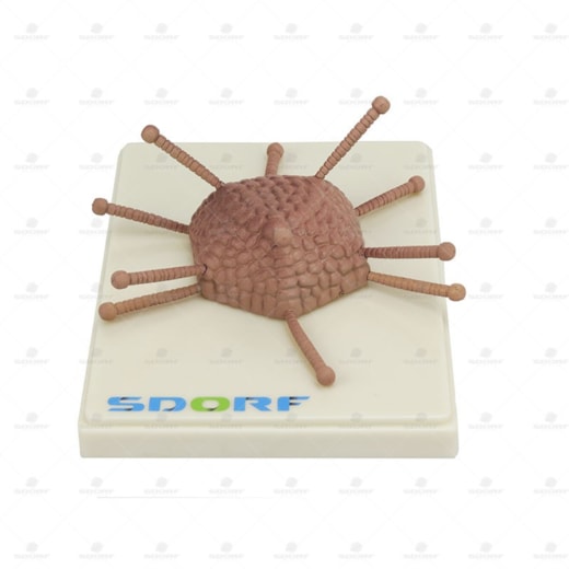 Product main image - 1bf5cc89-2536-47b9-ae85-99fcb5c21577