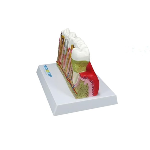 Imagem da galeria de produtos