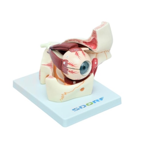 Imagem da galeria de produtos