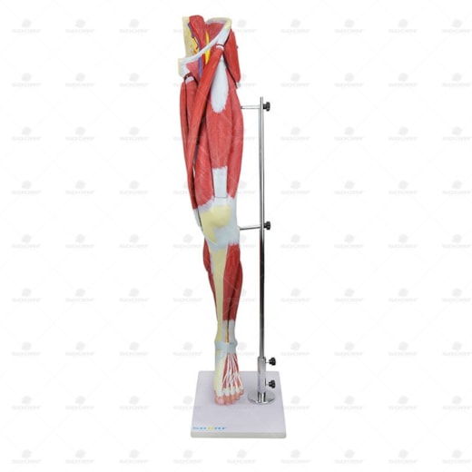 Product main image - e17f30a3-0919-4aeb-a568-0e3254527780