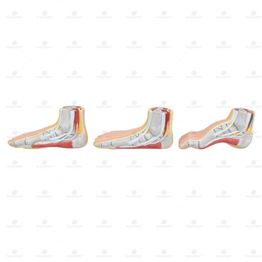 Product main image - 4ed1a163-7a9a-4a49-abb5-9cd149985aed