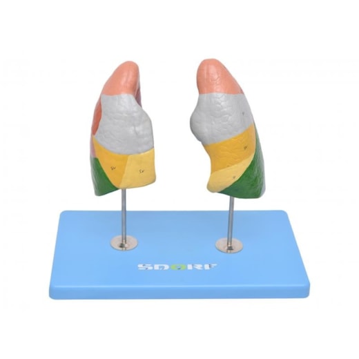 Imagem da galeria de produtos