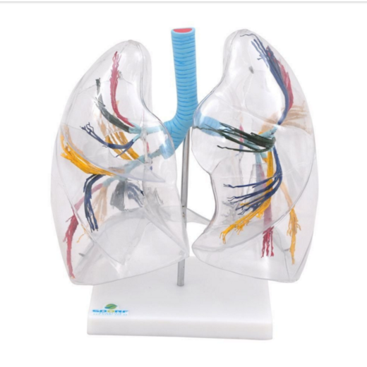 Product main image - 5c6d6d2f-6bb2-48a7-bb1a-8c9c77c989fb