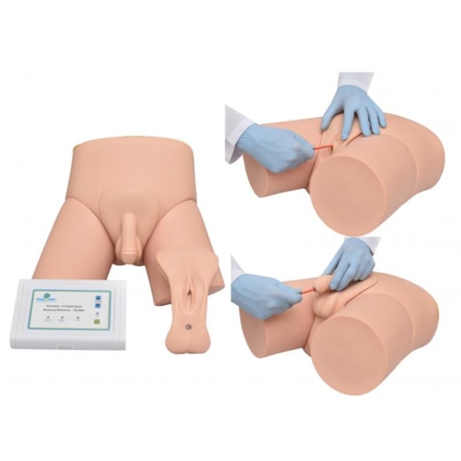 Imagem da galeria de produtos
